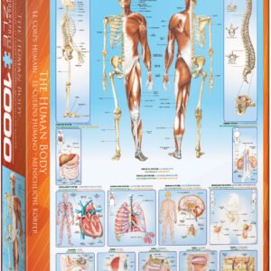 Eurographics Puzzle 1000 Palan Palapeli The Human Body