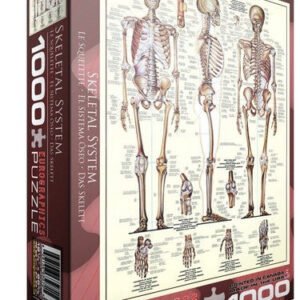 Eurographics Puzzle 1000 Palan Palapeli The Skeletal System