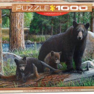 Eurographics 1000 Palan Palapeli New Discoveries by Daniel