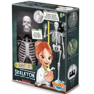 Buki Koottava Luuranko 45 cm