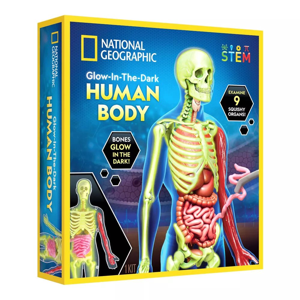 National Geographic Human Body Pimeässä Hohtava Ihmiskeho 32 osaa