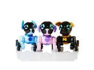 Chippies Robottikoira