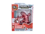 Dissect-it Salamanteri