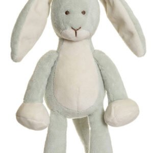 Diinglisar Soittorasia kani Salvia vihreä