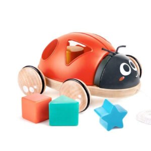 Hape Mould sorter leppäkerttu