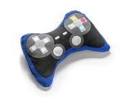 Mestaripelaajan Tyyny