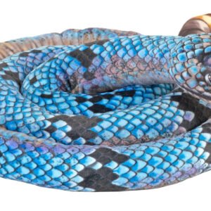 Wild Republic Käärme Skinny Blue Rock Rattle 137cm