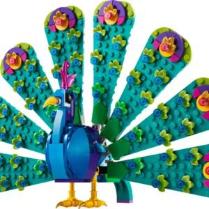 Eksoottinen riikinkukko