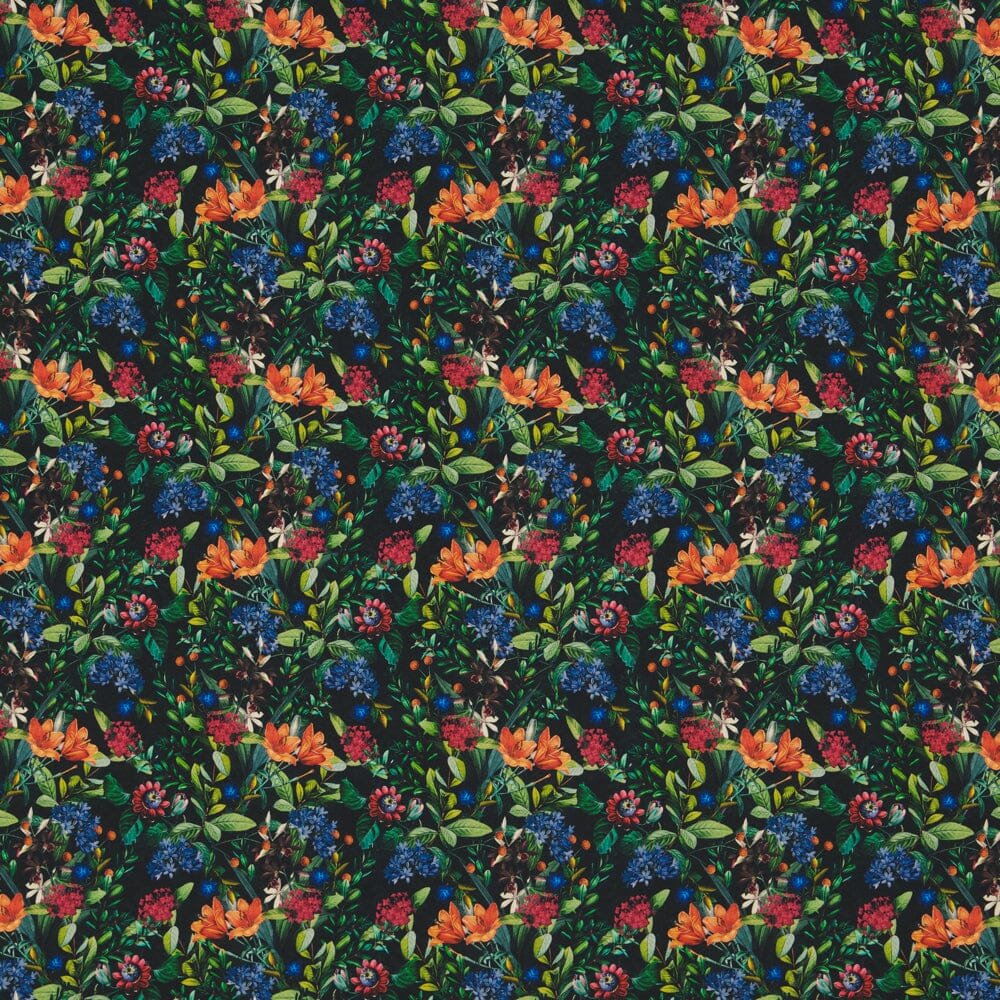 College (Harjattu) Melodies 1M