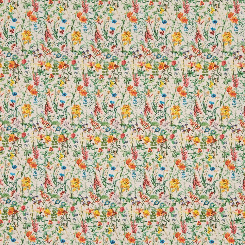 College Happiness 1M | Vanilla