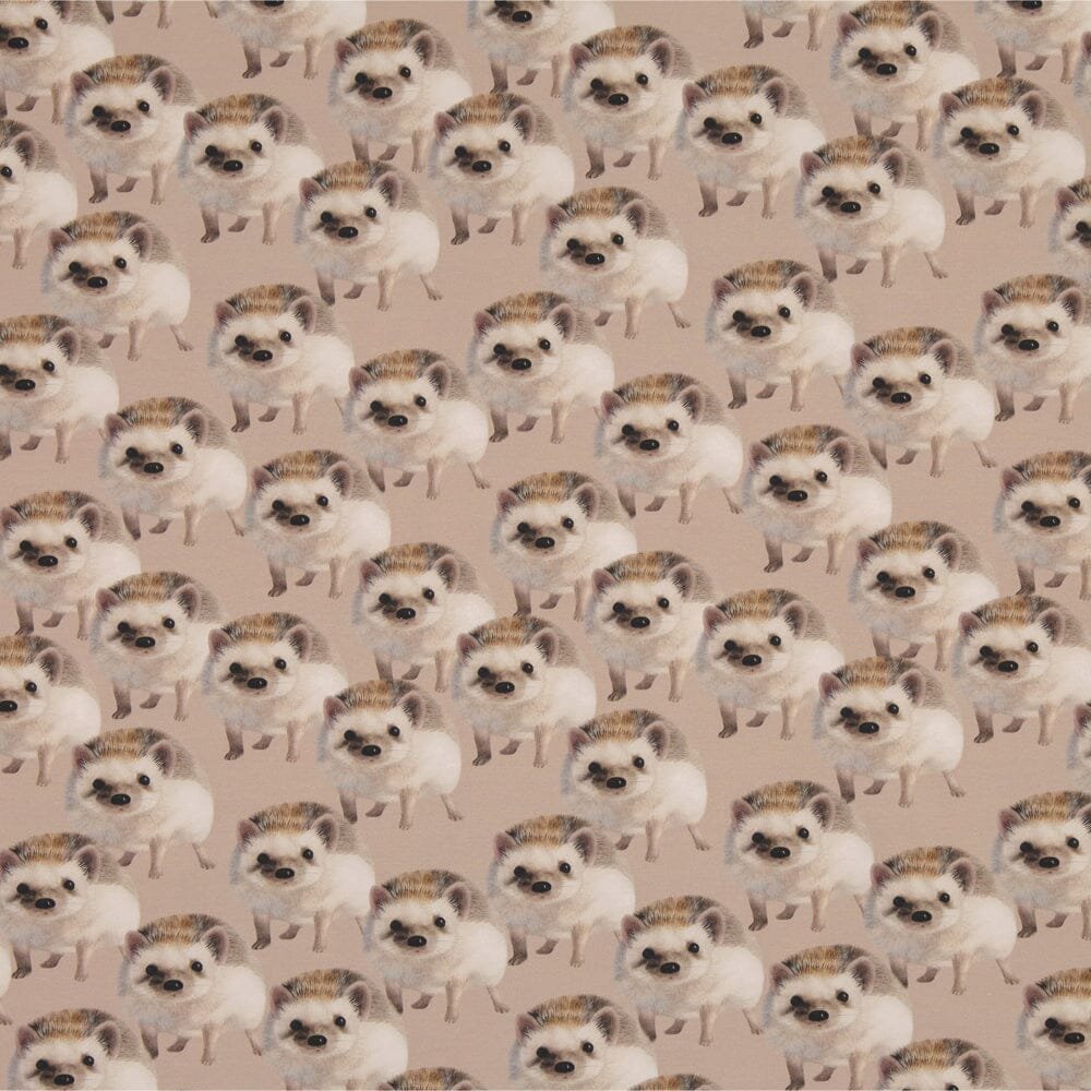 Trikoo Hedgehog 1M | Choco