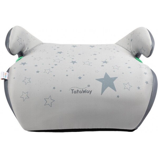 Lastenistuin harmaa R129 15-36kg