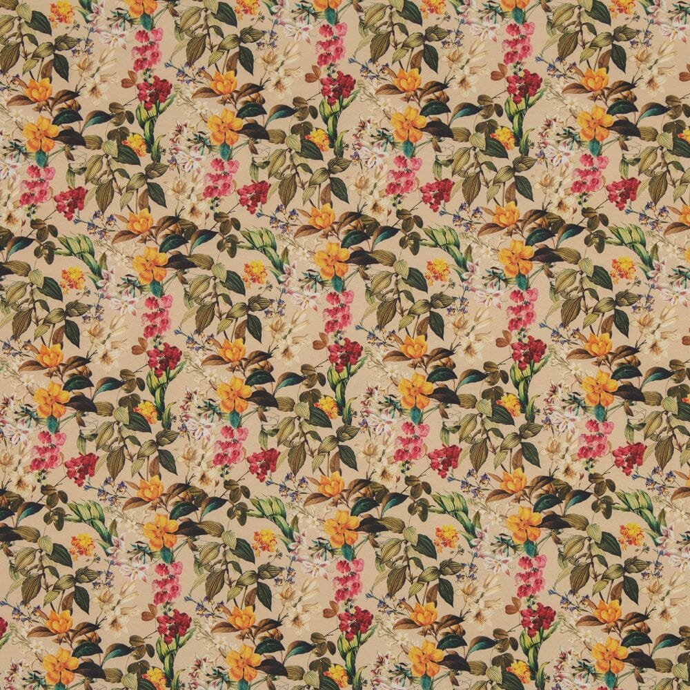 Trikoo Wonderes 1M | Ecru