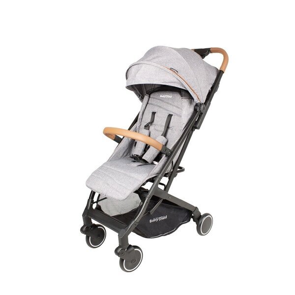 Sporttirattaat BabyTrold Trolley 13-02GM, 22 kg, harmaa