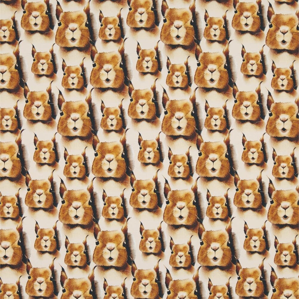 Trikoo Squirrel 1M | Cream