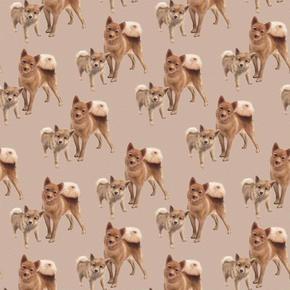 Trikoo Doggies 1M | Moonlight