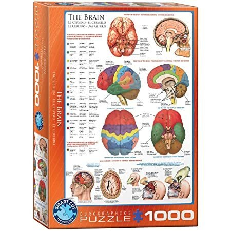Eurographics 1000 Palan Palapeli The Brain