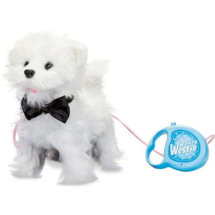 Kävely Westie Terrieri Interactive