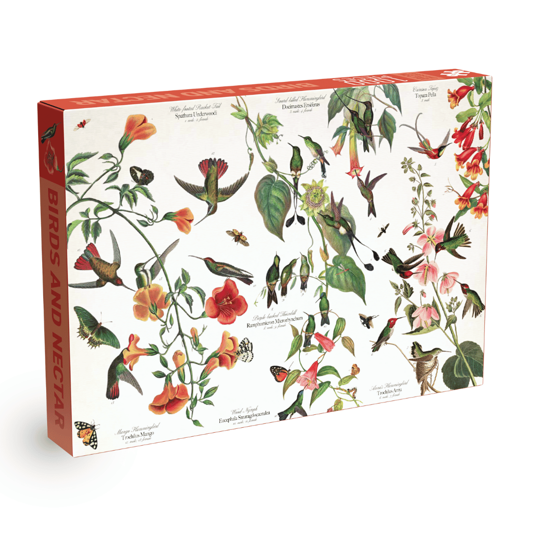 Penny Puzzle Birds and Nectar 1000 Palan Vintage Palapeli
