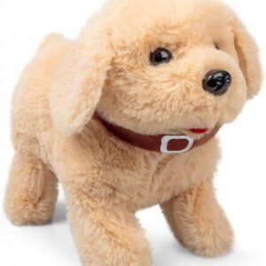 Pentu kävely, haukkuminen ja temppuja!