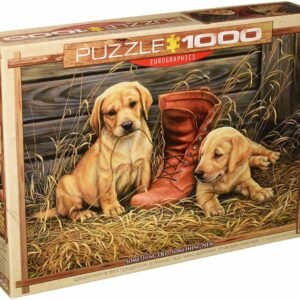 Eurographics 1000 Palan Palapeli Something Old, Something New