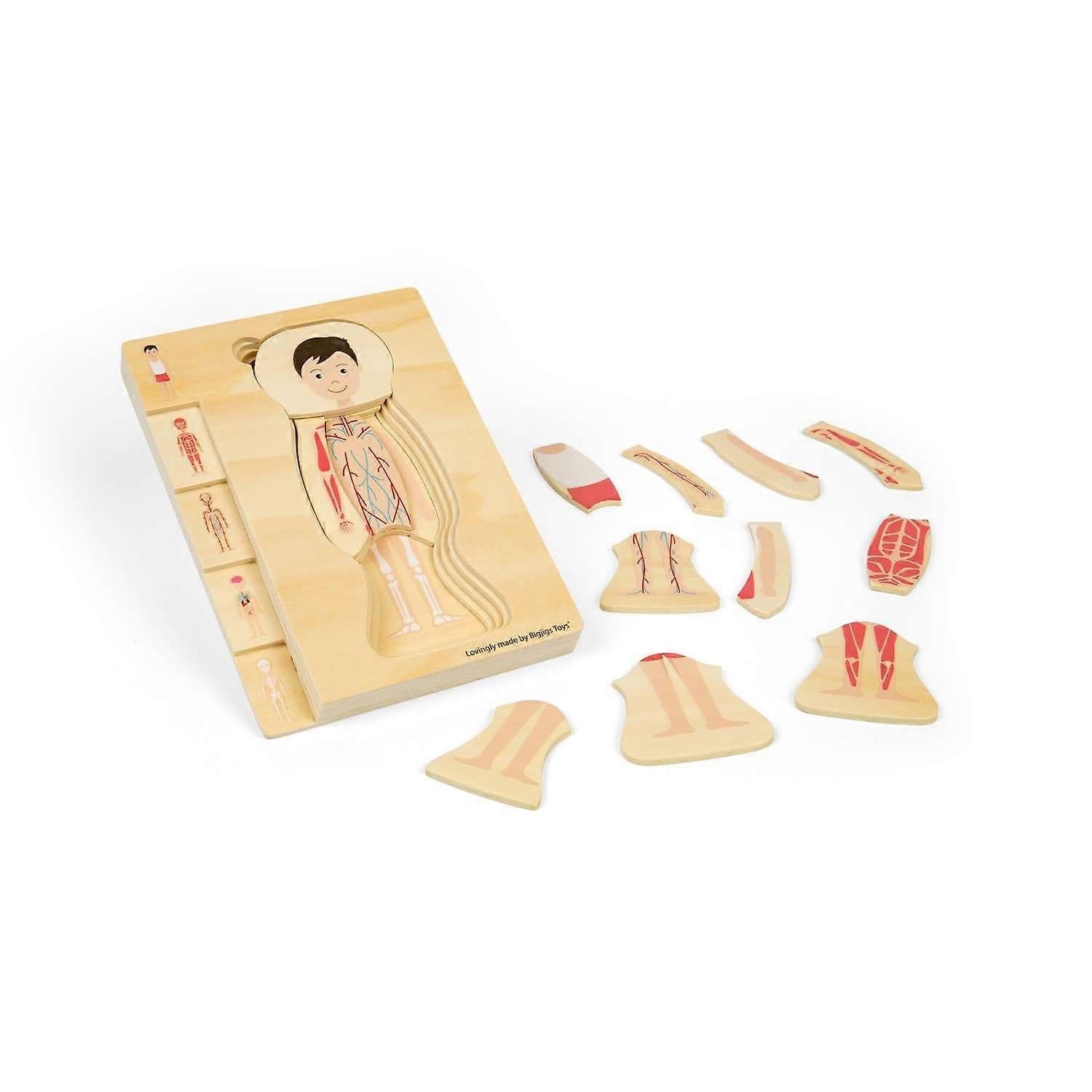 Bigjigs Puinen Palapeli Ihmisen Anatomia Poika