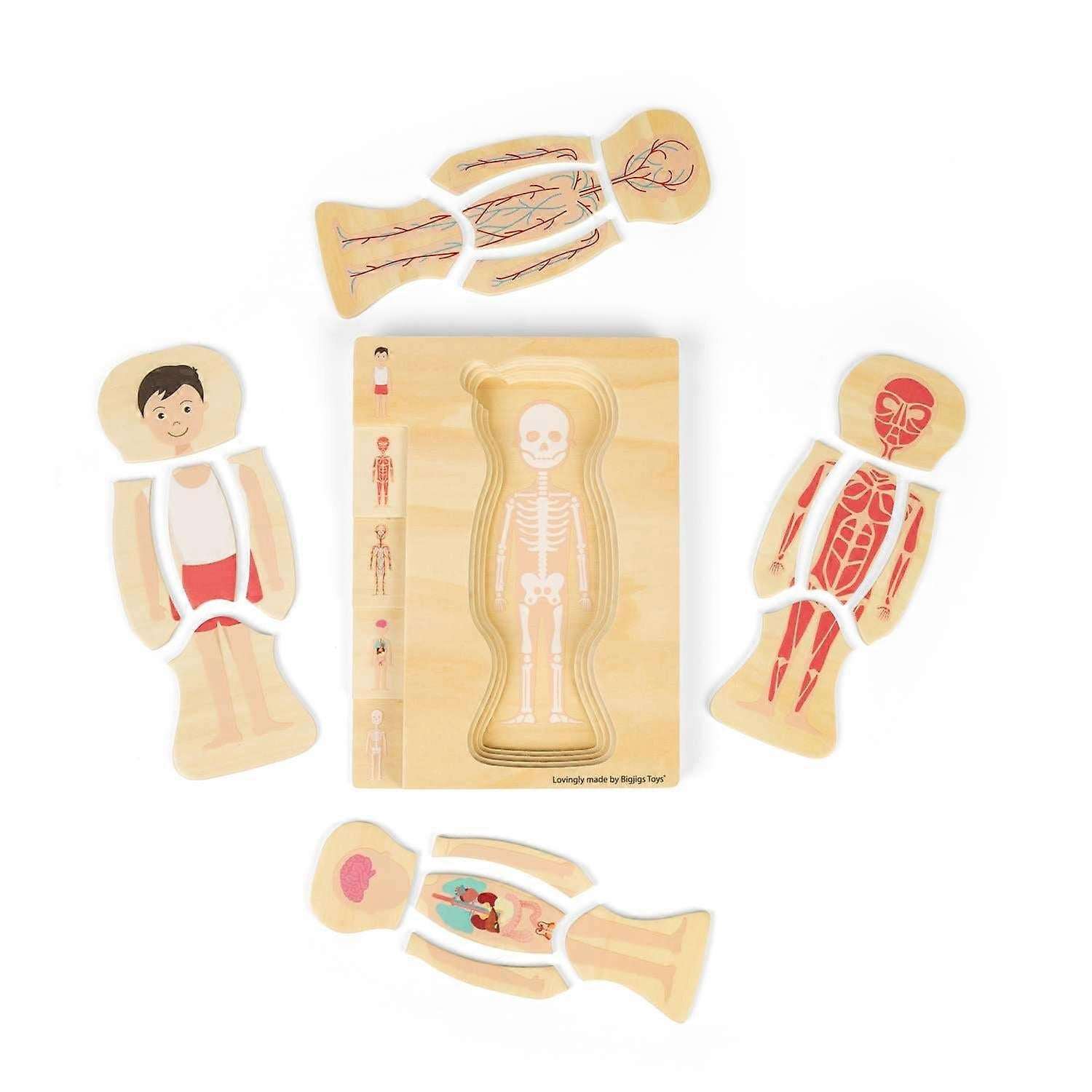 Bigjigs Puinen Palapeli Ihmisen Anatomia Poika