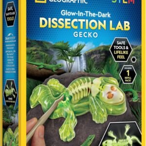National Geographic Disection Lab Gecko