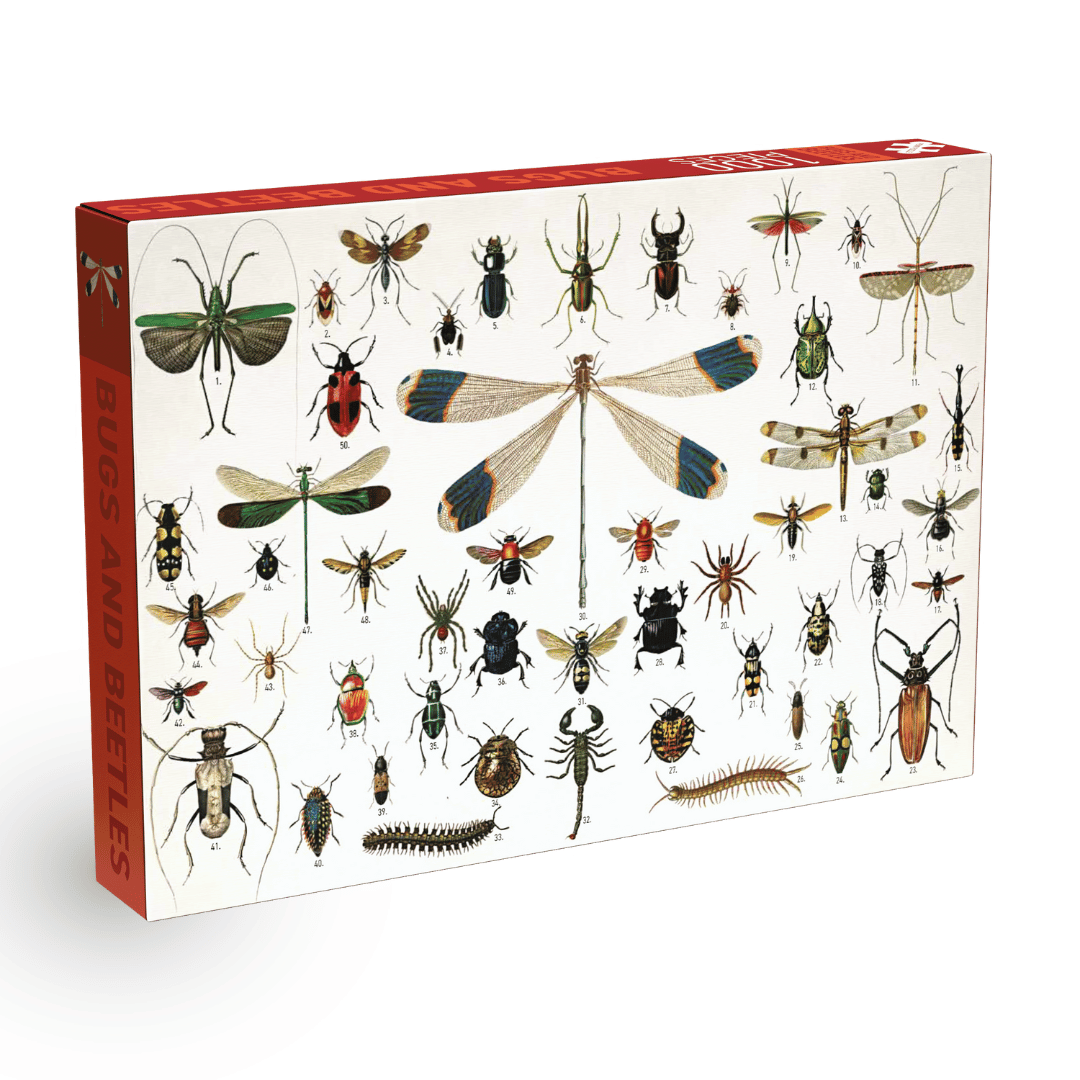 Penny Puzzle Bugs and Beetles Vintage 1000 Palan Palapeli
