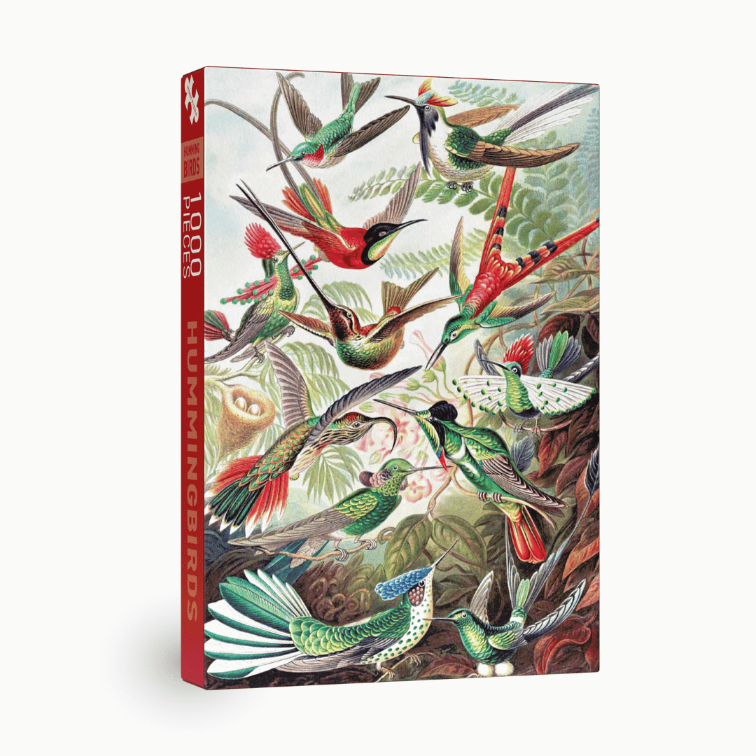 Penny Puzzle Kolibrit/Hummingbirds 1000 Palan Palapeli Vintage