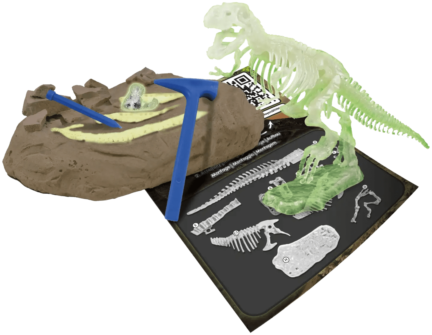 Science4You Tyrannosaurus Rex Glow In The Dark Tiedesetti