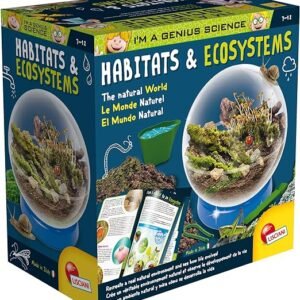 Kokeilulaatikko, elinympäristö ja ekosysteemi