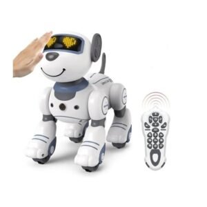 Radio-ohjattava robottikoira, RC robot dog