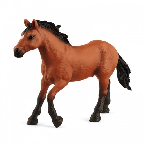 Schleich - Appaloosa Stallion