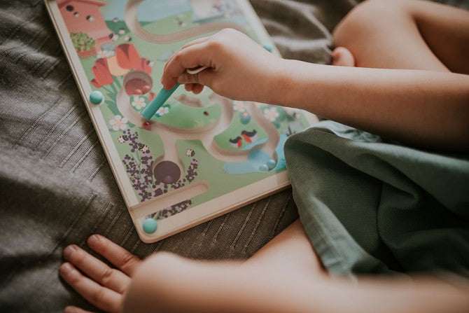 Janod Magneettipujottelu Pörriäiset