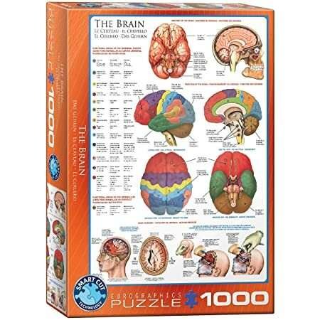 Eurographics 1000 Palan Palapeli The Brain