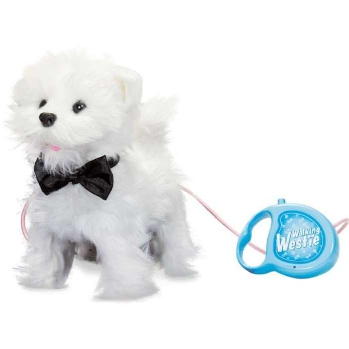 Kävely Westie Terrieri Interactive