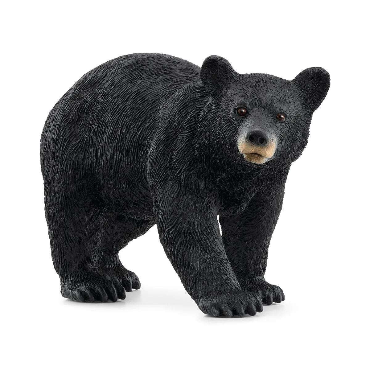 Schleich 14869 Amerikan Mustakarhu