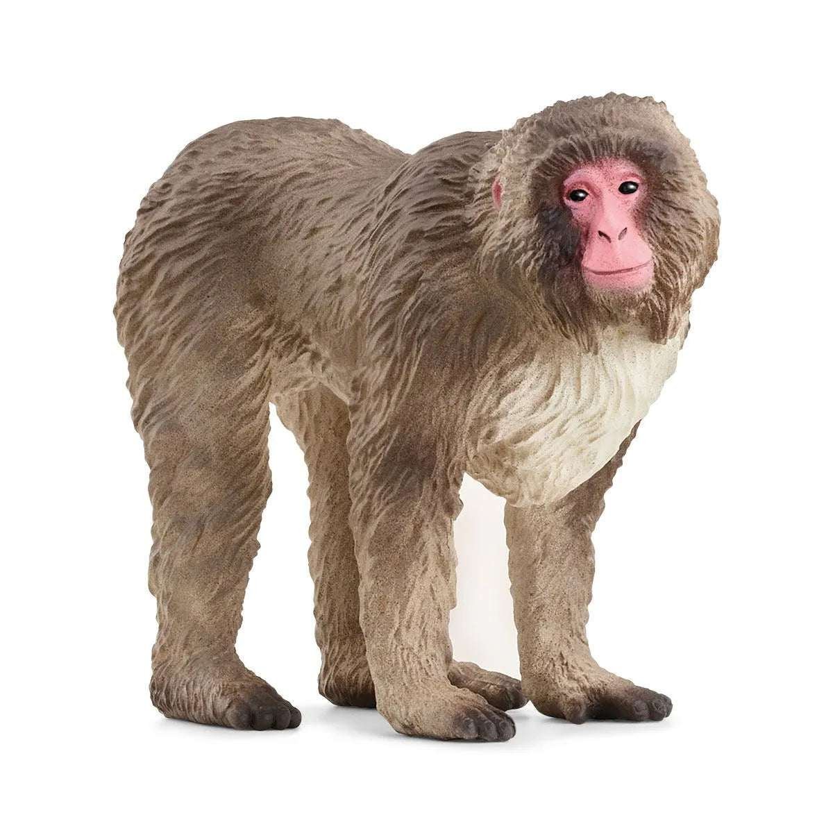 Schleich 14871 Japaninmakaki