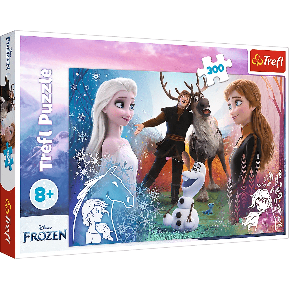 Palapeli 300 Palaa - Magic Time Disney Frozen