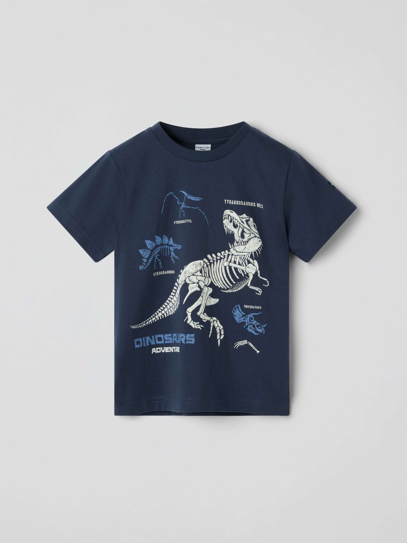 T-paita dinosaurukset