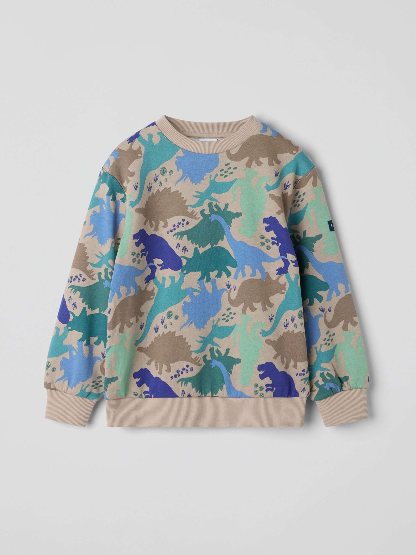 Collegepaita dinosaurukset