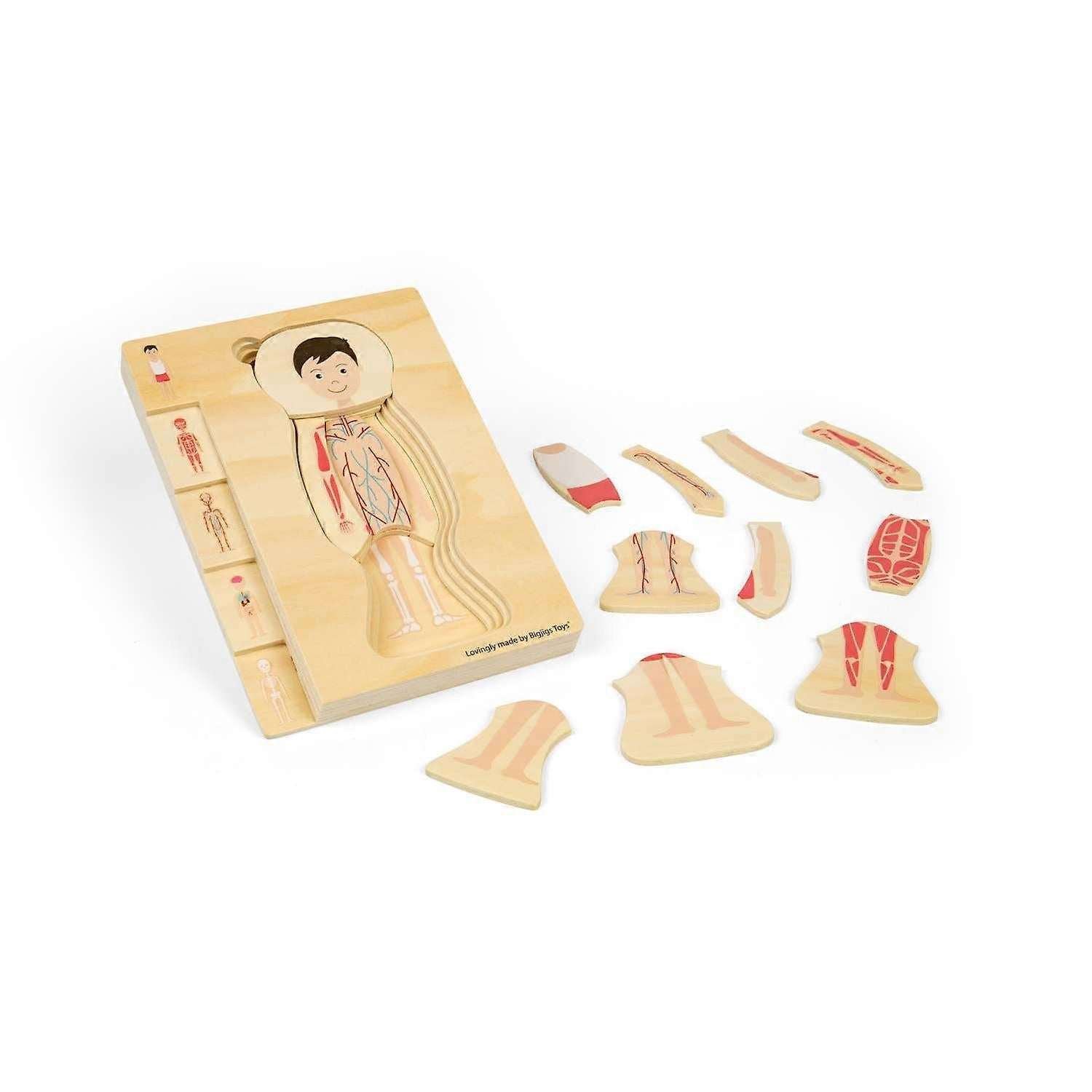 Bigjigs Puinen Palapeli Ihmisen Anatomia Poika