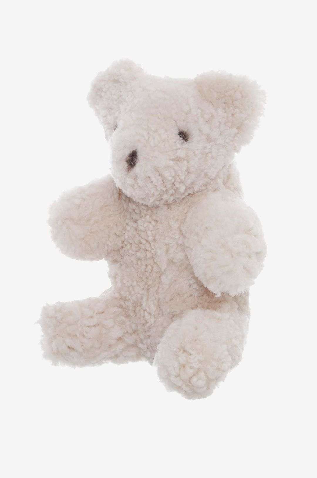 Skinnwille Teddy