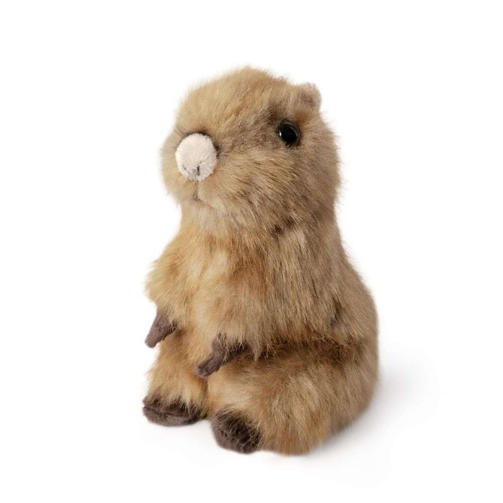 Living Nature Capybaran Poikanen Pehmolelu 15cm