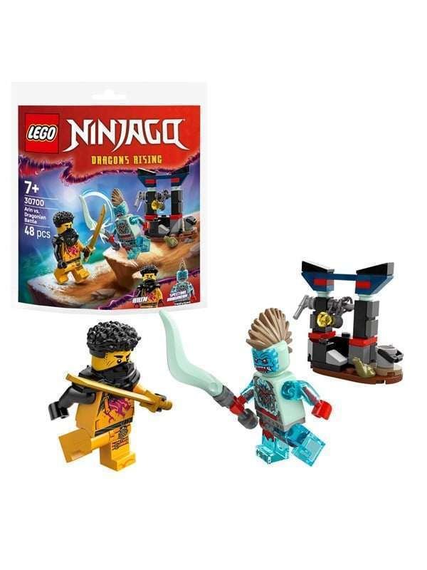 LEGO Ninjago 30700 Arinin ja dragonialaisen taistelu