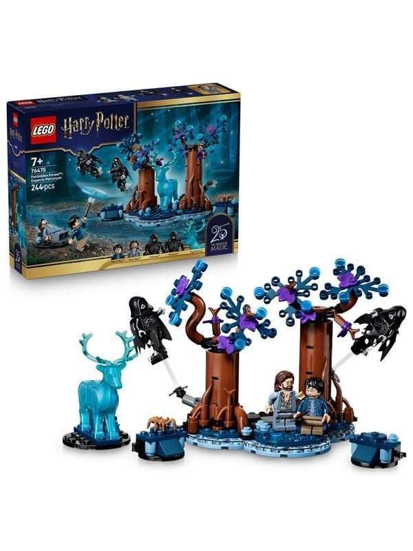 LEGO Harry Potter 76475 Kielletty metsä: Odotum suojelius