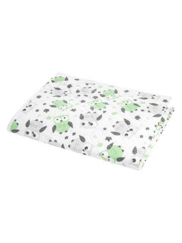 Akuku PEVA Changing mat 55 x 70 cm GREY-MINT OWLS