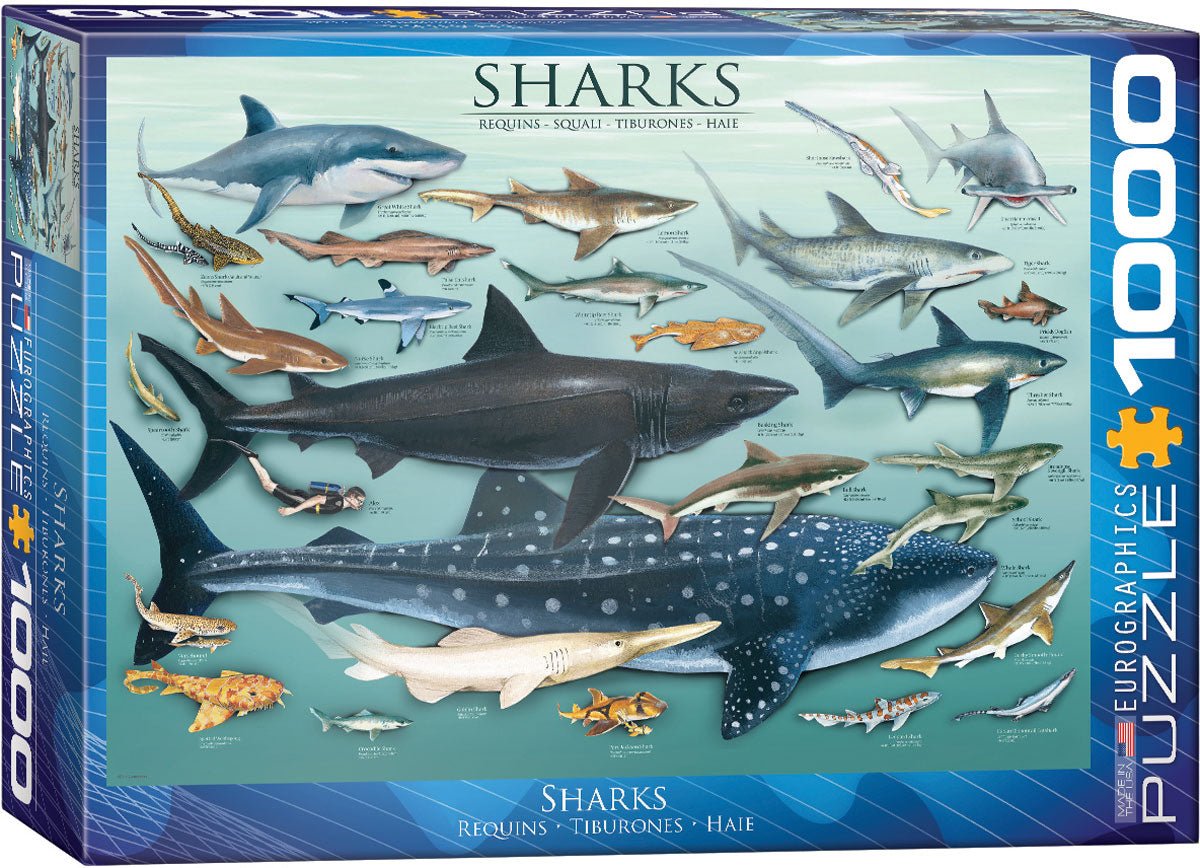 Eurographics Puzzle 1000 Palan Palapeli Sharks
