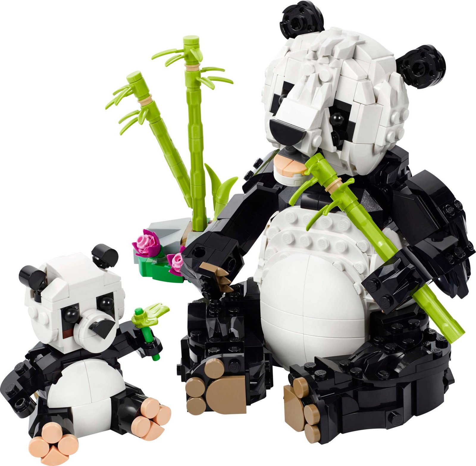 Villieläimet: Pandaperhe